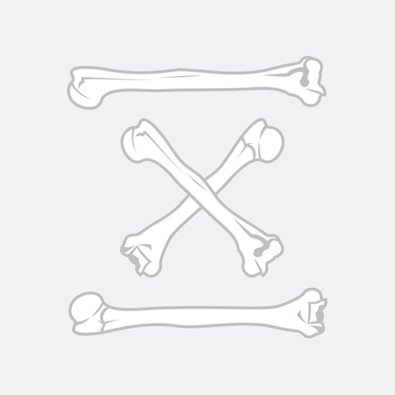 Free vector bones