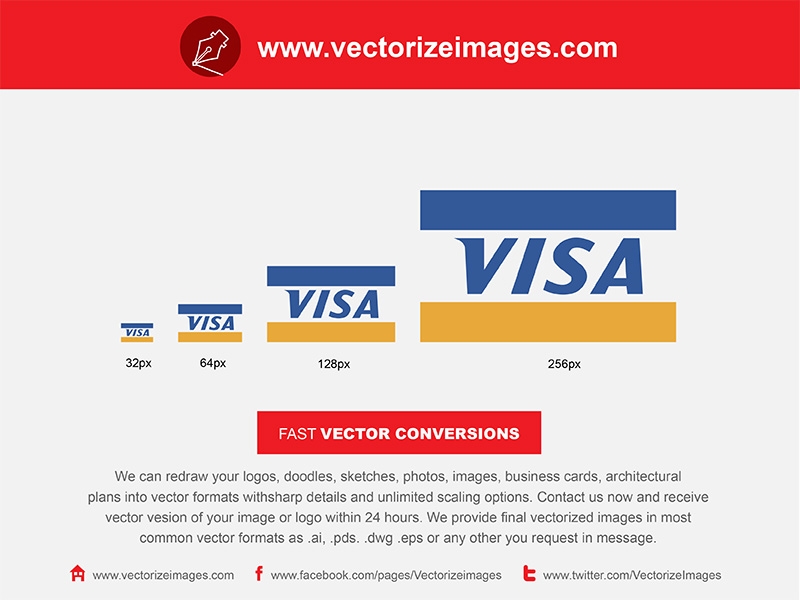 Free visa vector icon