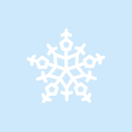 Snowflake vector