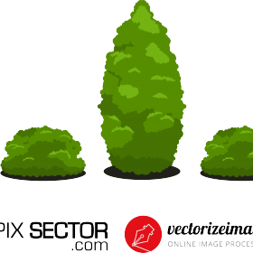 Free bush vector