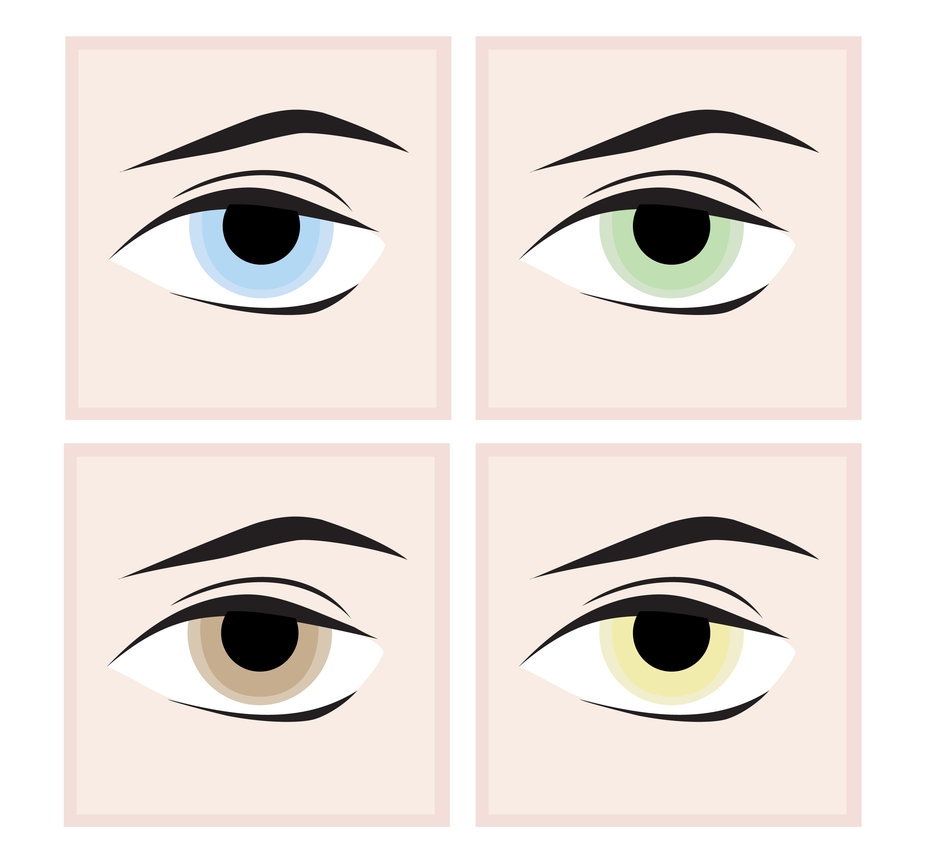 Eyes free vector