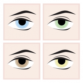 Eyes free vector