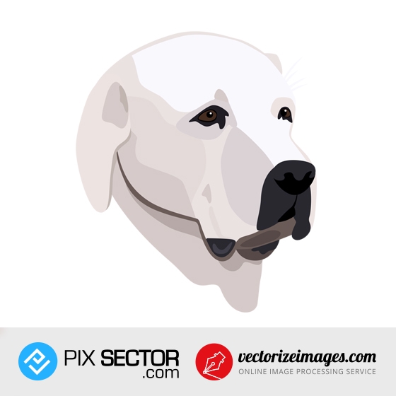 Dog head vector illustration