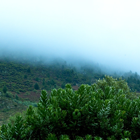 Stormy mountain