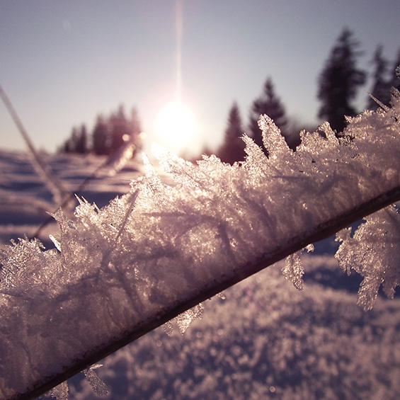 Snow crystals