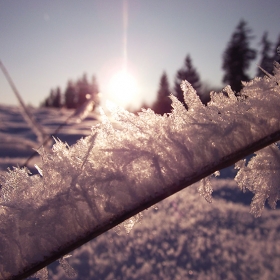 Snow crystals