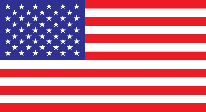 Usa Flag Vector