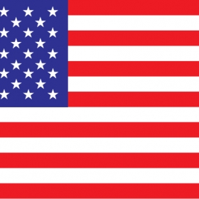 Usa Flag Vector