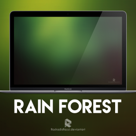 Rain forest wallpaper