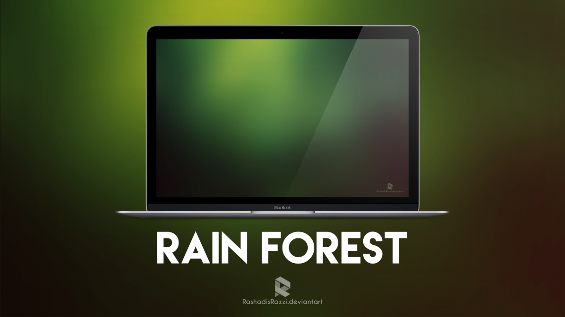 Rain forest wallpaper