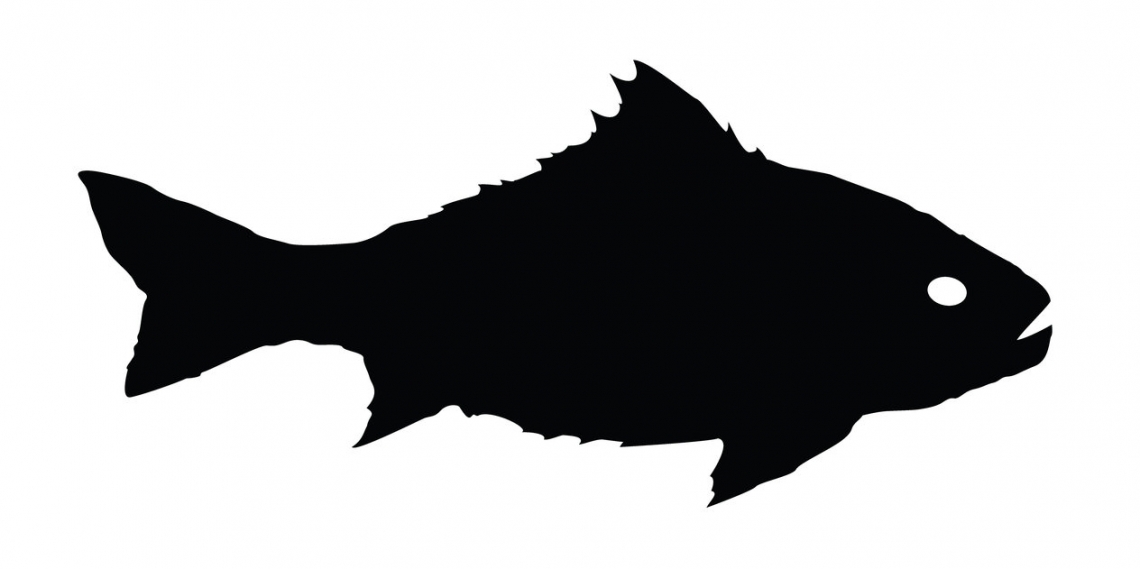 Spiky fish silhouette