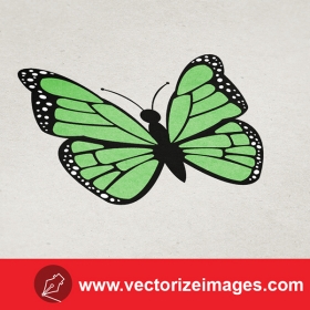 Free butterfly vector