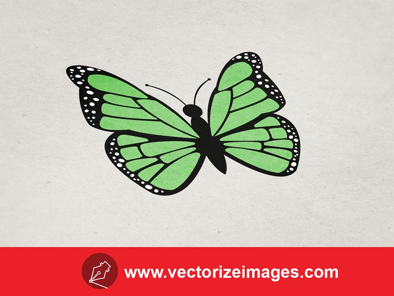 Free butterfly vector